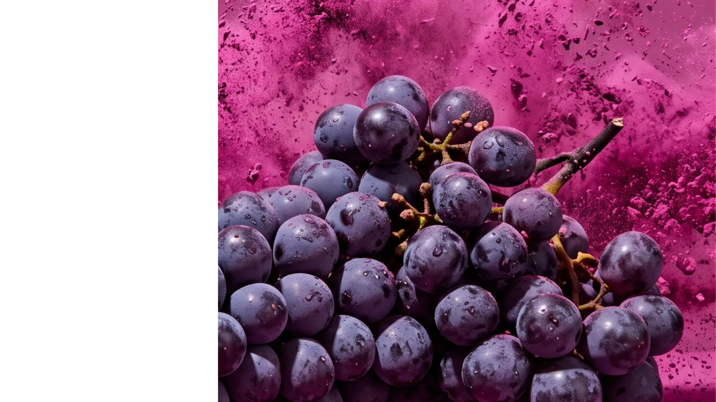 Racimo de uvas sobre harina de uva