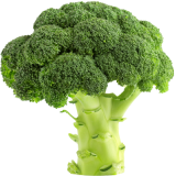 Brocoli