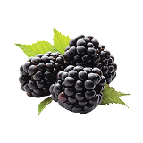 Moras