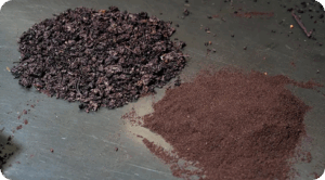 Harina de orujo de uva chilena promete revolucionar el control de la diabetes