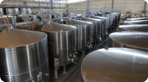 Innovación permite extraer el orujo de uva desde el exterior de las cubas utilizadas en proceso de fermentación de  vinos